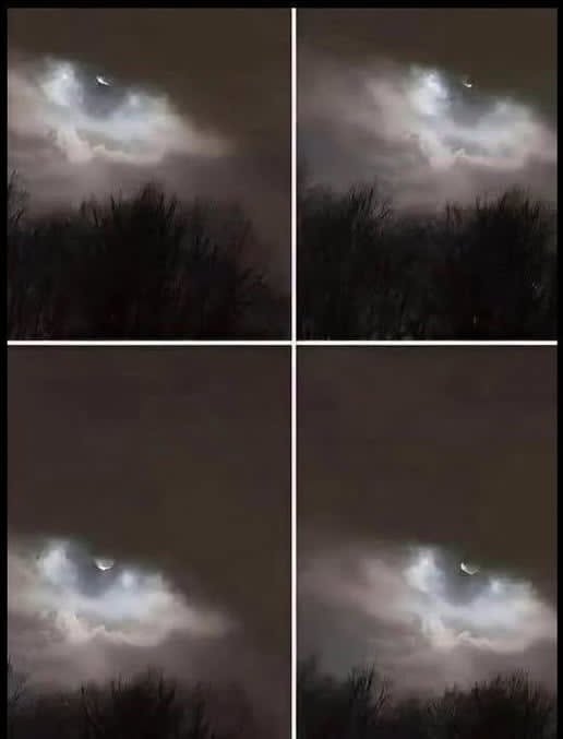 My Brother Took This Strange Photo Near Our House… Can You Identify It?