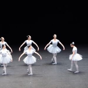 This Ballet Performance Had Millions Laughing… Now I Know Why It Went Viral!