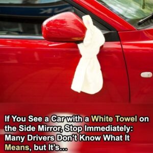Most Drivers Have No Idea Why Someone Would Hang a White Towel on a Side Mirror… Do You?