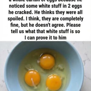 That White Strand in Your Egg Isn’t a Flaw — Here’s What It Means