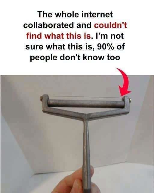 I Found This… and I Have No Idea What It Is!