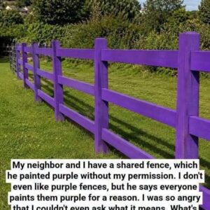 If You See a Painted Purple Fence, This Is What It Means