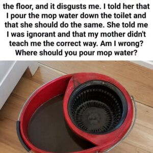 Where to Dispose of Dirty Mop Water: Toilet or Bathtub?