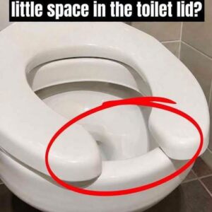 Have You Ever Wondered Why Public Restrooms Have U-Shaped Toilets?