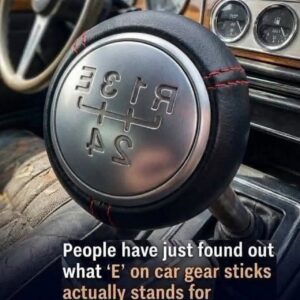 If You Learned to Drive in the ’80s or ’90s, There’s a Good Chance You’ll Remember This Instantly.