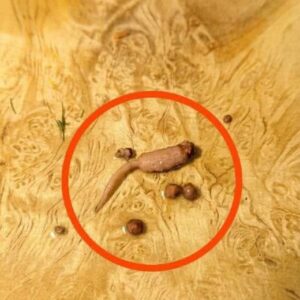 I Was Cooking Ground Beef When I Spotted This Mysterious Object…