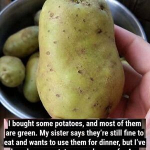 If Your Potatoes Turn Green, Don’t Ignore It… There’s an Important Reason Why.