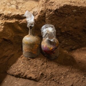After 250 Years Underground, These Cherries Were Finally Found at Mount Vernon
