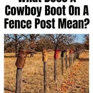The Hidden Story Behind a Boot Sitting on a Fence Post