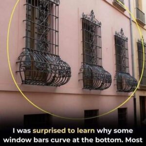If you see window grills with a curve at the bottom here’s what it means
