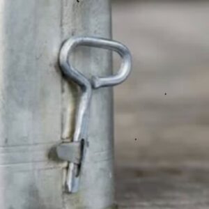 Almost Every Household Once Had This Mysterious Item… Today It’s Nearly Forgotten. See more