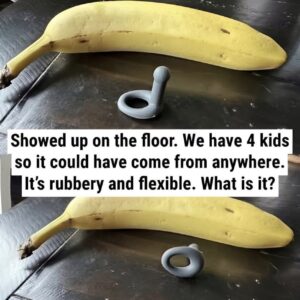 This Mysterious Rubber Object Suddenly Appeared On Our Floor… None Of Us Knew What It Was.