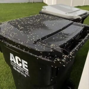 I Thought Someone Spilled Rice In My Trash Can… Until I Looked Closer And Realized It Was Actually…
