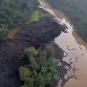 Unbelievable footage from the Amazon is leaving everyone speechless…