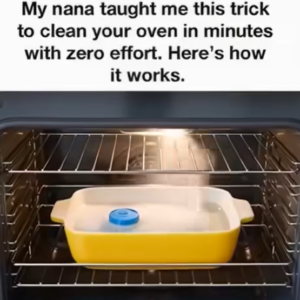 Nana’s Simple Trick to Sparkling Ovens