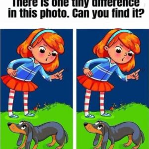 Can You Spot the One Hidden Difference in This Funny Girl and Dog Puzzle?