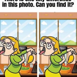 Can You Spot the One Hidden Difference in This Funny Kitchen Puzzle?