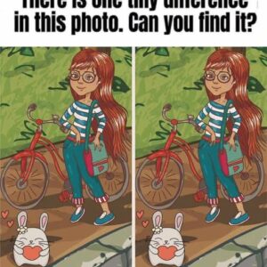 Can You Spot the One Hidden Difference in This Cute Girl and Bunny Puzzle?