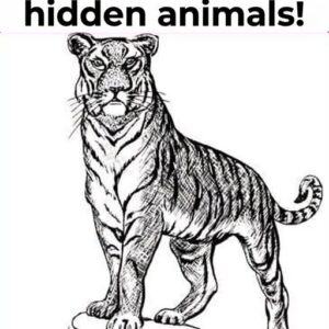 Can You Find All 3 Animals Hidden in This Tiger Picture?