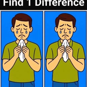 Can You Spot the One Hidden Difference in This Sneezing Man Puzzle?