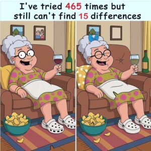 Can You Find All 15 Differences in This Funny Grandma Puzzle?