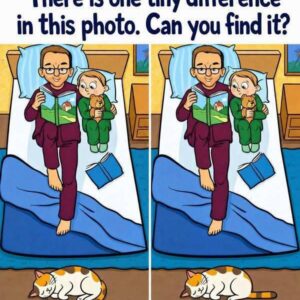 Something Has Changed in This Peaceful Family Scene—Can You Spot It?